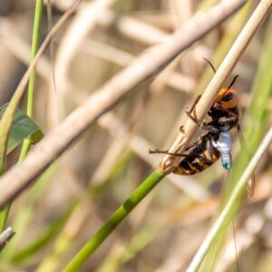 nukleer silah tesisinde radyoaktif ari yuvalari bulundu LCWbNRP2