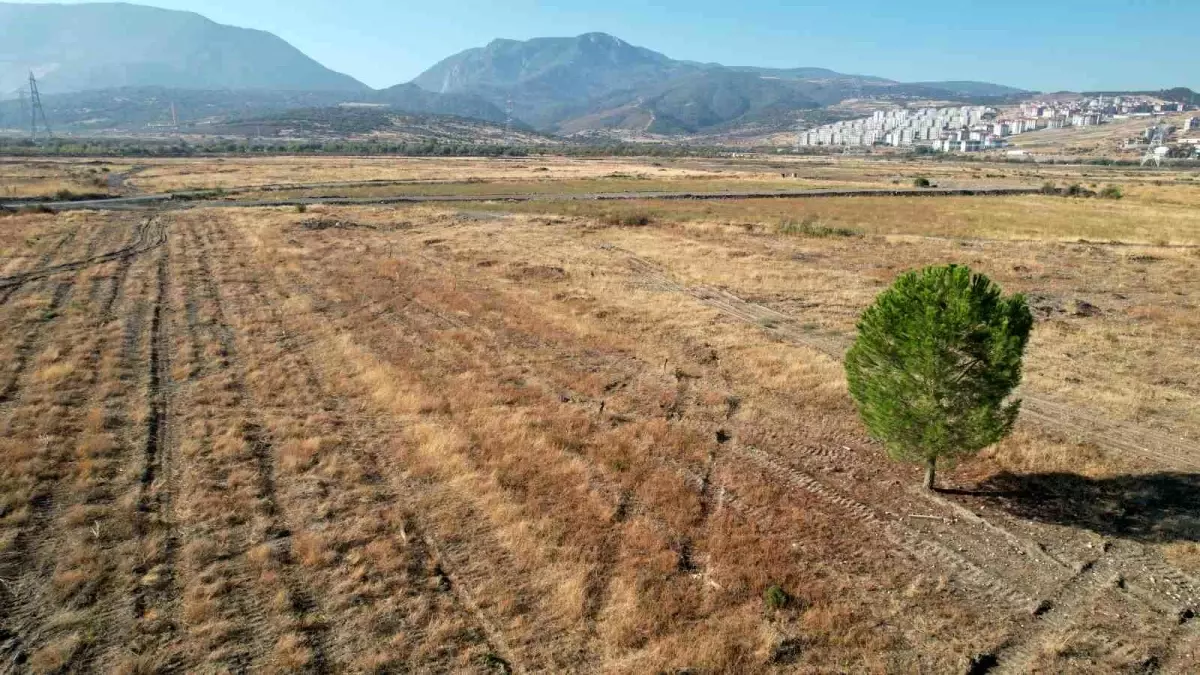 bydnin manisa fabrikasinda faaliyetler durdu OEC4hxPJ