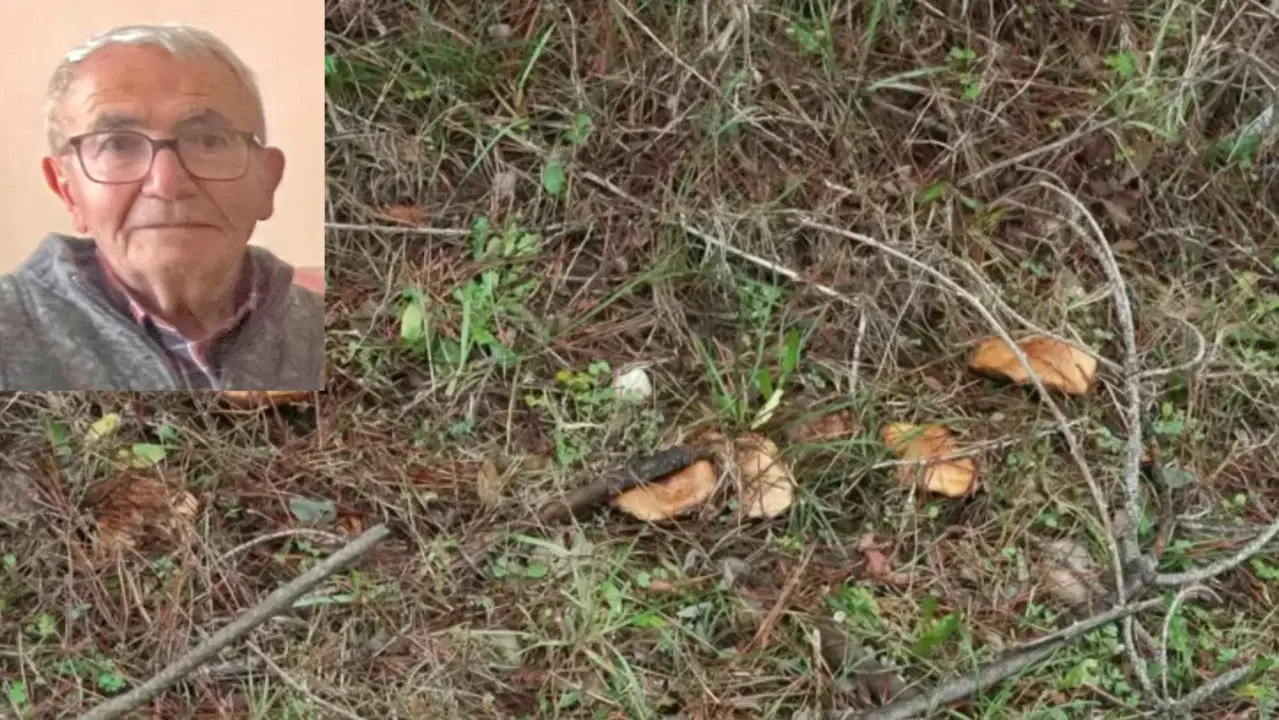 İki gündür aranıyor… Topladığı mantarlar bulundu; kendisinden iz yok