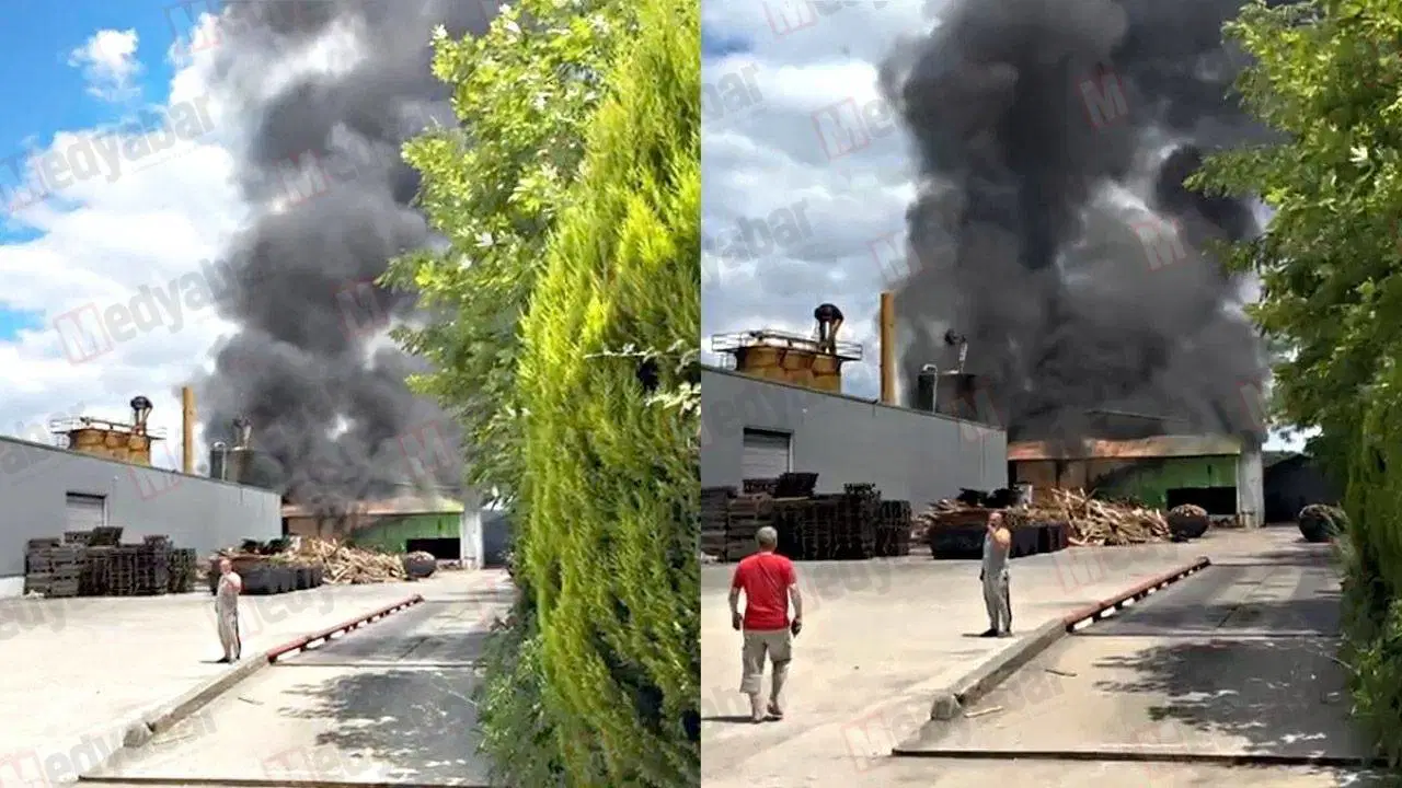 Sakarya’da palet fabrikasında yangın