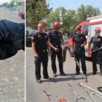Bir kentte yilan ihbarlari tavan yapti evlere bile giriyorlar ym3w41eB