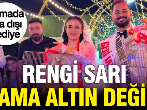 Damada sira disi hediye rengi sari ama altin degil SZsrEAap