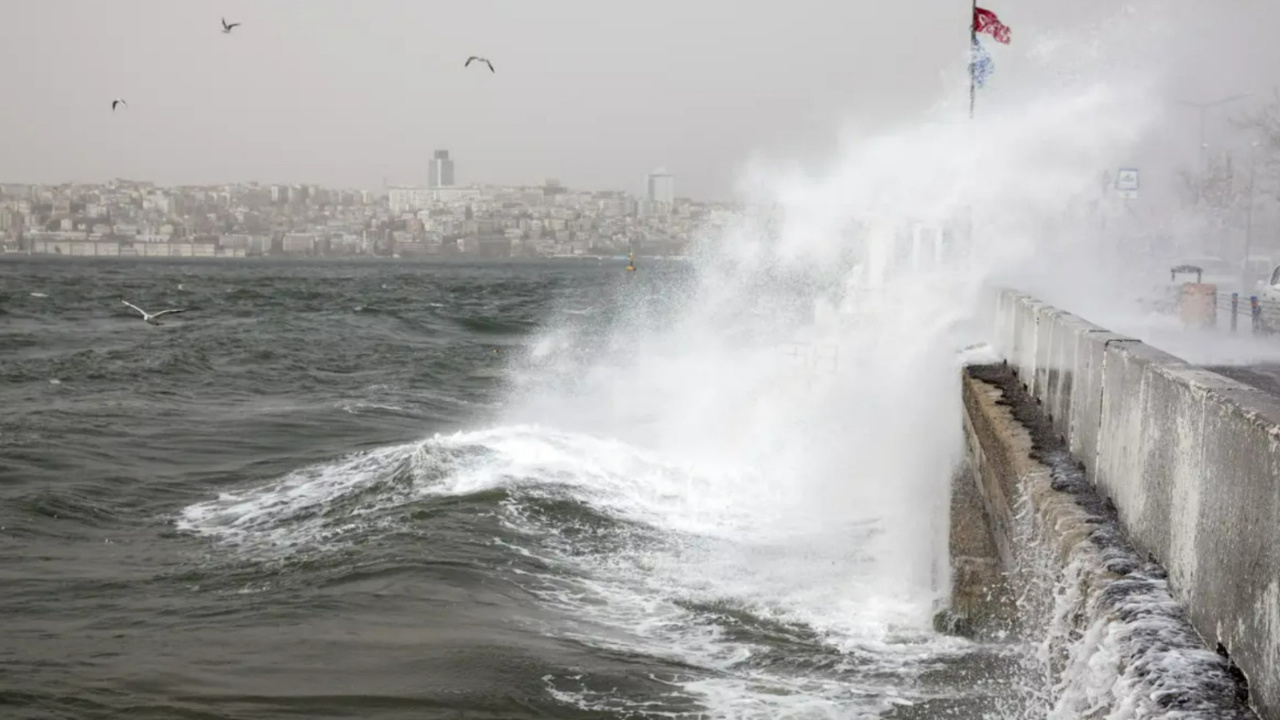 Haber gorseli