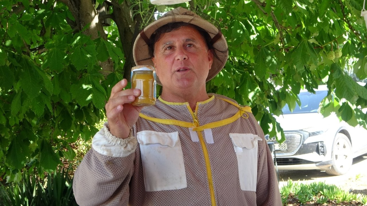 Haber gorseli