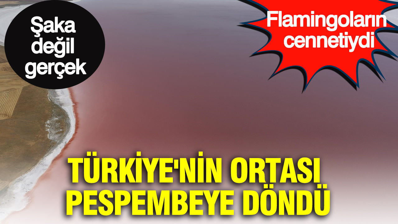 Saka degil gercek turkiyenin ortasi pespembeye dondu flamingolarin cenneti JspzllfE